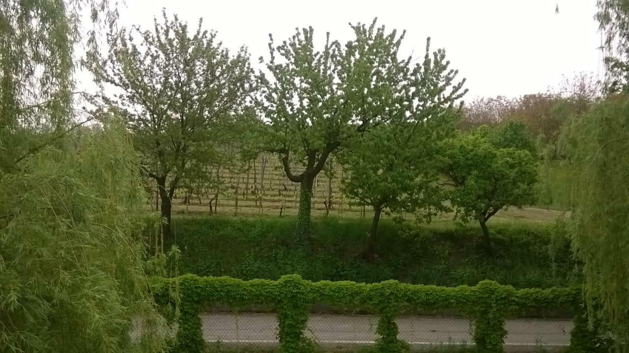 Agriturismo Cascina Barin 로디 외부 사진
